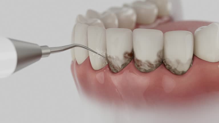Reliable Dental contractor in McGehee, AR by Dentist Open Now